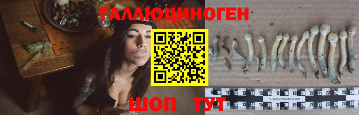 Тверь  Псилоцибиновые грибы ЛСД  Вход с VPN 